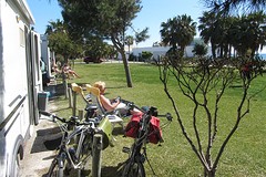 IMG_2526