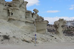 IMG_2553