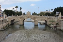 IMG_2556