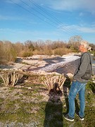 IMG_20160321_171802