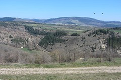 IMG_2574