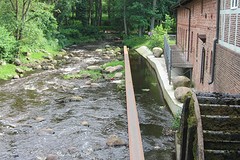 IMG_2587