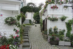 IMG_3126