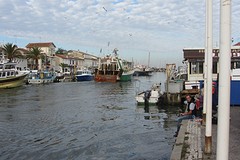 IMG_3229