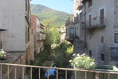 IMG_3262