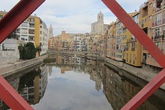 IMG_3266