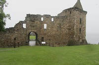 IMG_3479