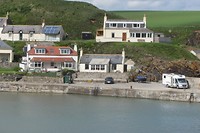 IMG_3517