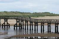 IMG_3550