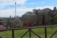 IMG_3584