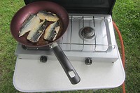 IMG_3589