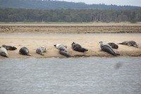 IMG_3615