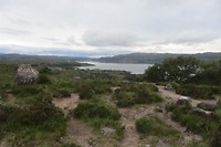 IMG_3732