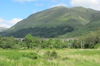 IMG_3814