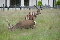 IMG_3821