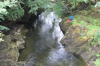 IMG_3825