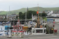 IMG_3884