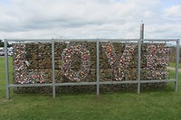 IMG_3893