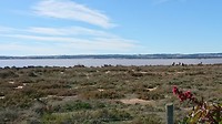 DSC_1846~2
