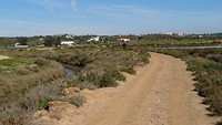 DSC_1876