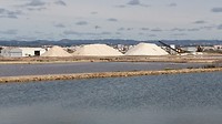DSC_1909~2