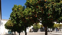 DSC_1925~2