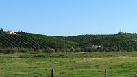 DSC_2044~2