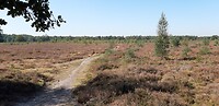 20200921_125322