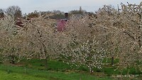 IMG_20210424_152106