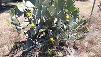 IMG_20210607_122943