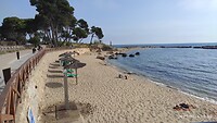 IMG_20210616_100023