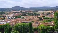 IMG_20210617_115333