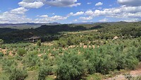 IMG_20210621_140305