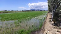 IMG_20210622_140807