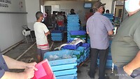 IMG_20210622_115053