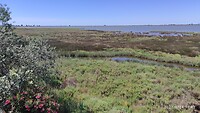 IMG_20210624_114255