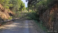IMG_20210627_100319
