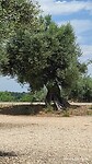 IMG_20210626_132410