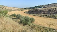 IMG_20210701_092253