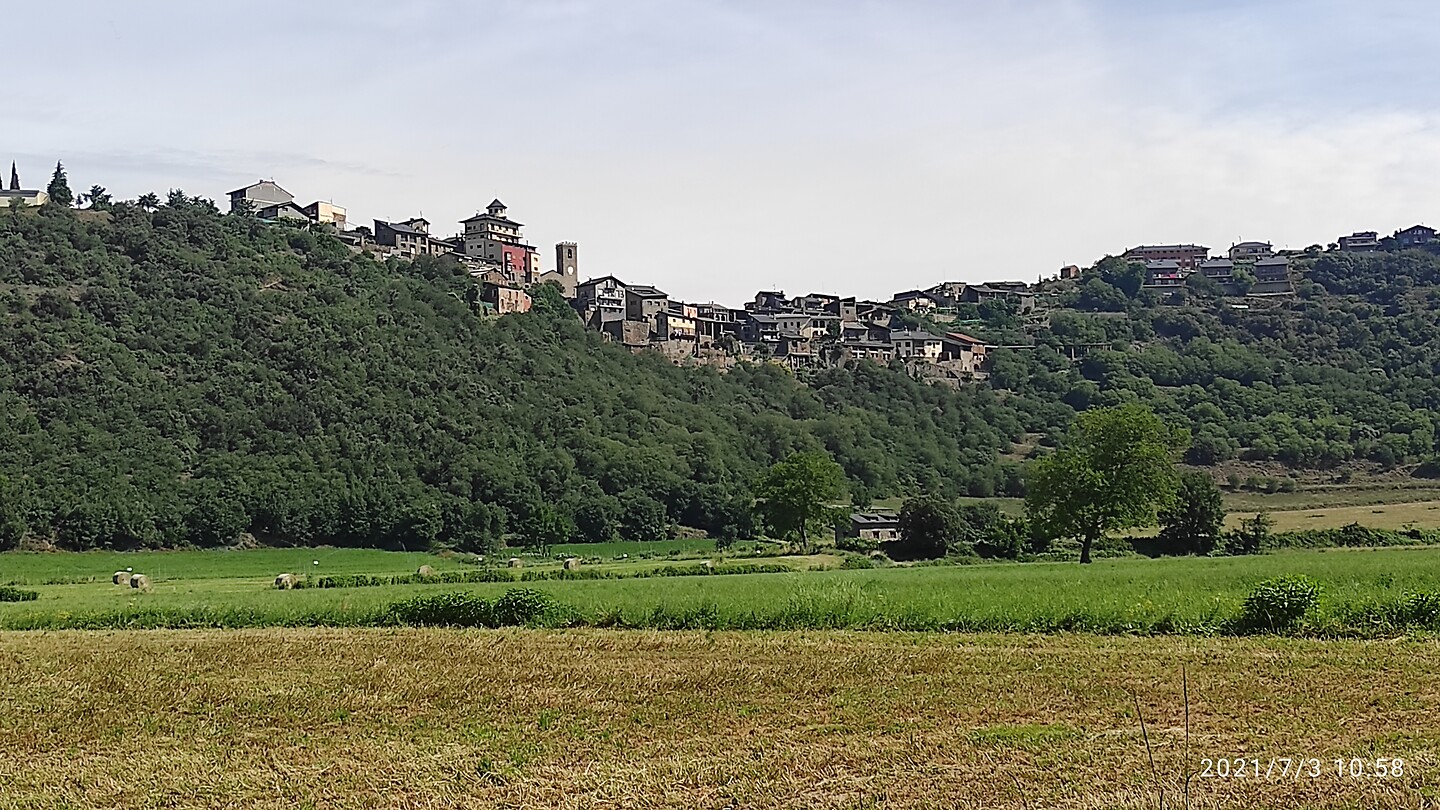 IMG_20210703_105851