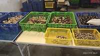 IMG_20210709_184119