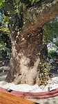 IMG_20210915_100008