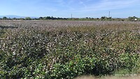 IMG_20210924_152328