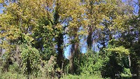 IMG_20210926_132535