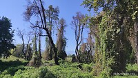IMG_20210926_132349