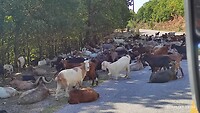 IMG_20210927_103308