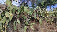 IMG_20211002_115039