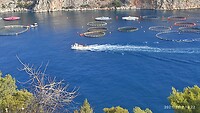 IMG_20211002_092253