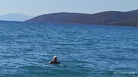 IMG_20211004_192757