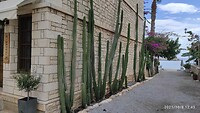 IMG_20211008_114528